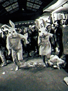 A Vállalhatatlan Substack websorozat